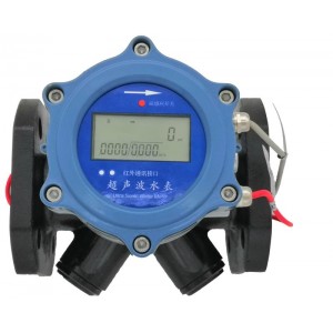 大連海峰TDS-100雙聲道超聲波電子遠