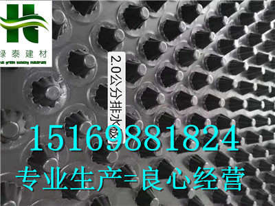 廊坊2公分排水板-車庫綠化排水板廠家-- 泰安市澤瑞土工材料有限公司