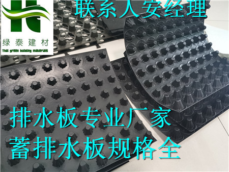 連云港3公分綠化種植車庫排水板%廠家-- 泰安市澤瑞土工材料有限公司