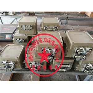 揚修執(zhí)行器控制單元型號2SA3(LK3）/M