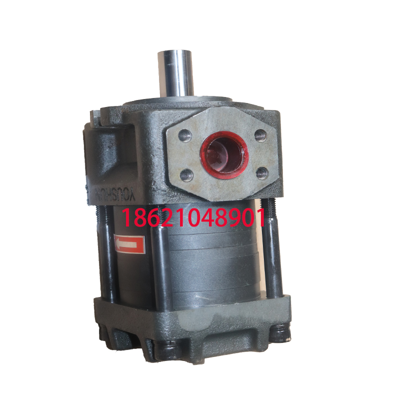 NT3-G25F內嚙合齒輪泵-- 上海中宛泵業有限公司