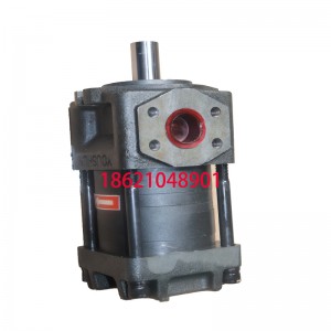 NT3-G25F內嚙合齒輪泵