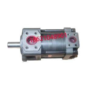 供應NT2-G12F齒輪油泵