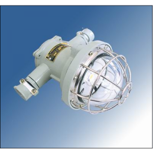 華策勁貝DGS10/127L(A)礦用隔爆型LED