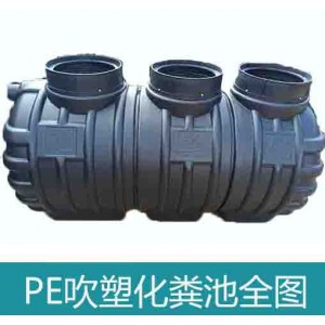 湖北龍康生產PE吹塑一體式三格化糞池