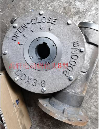 QDX3-D8電動(dòng)閥門渦輪頭 DN700閥門電動(dòng)執(zhí)行器-- 上海禹軒泵閥有限公司