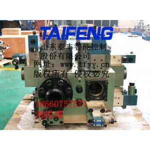 二通插裝閥YN32-100FXCV