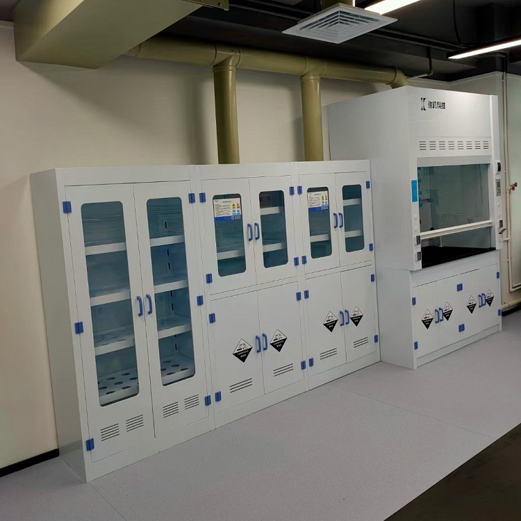 西安pp試劑柜廠家 pp藥品柜 實驗室酸堿柜 pp試劑柜定制-- 陜西卓馳環保設備有限公司
