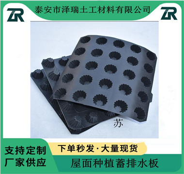 合肥2公分1200克排水板車庫頂板透水板-- 泰安市澤瑞排土工材料有限公司