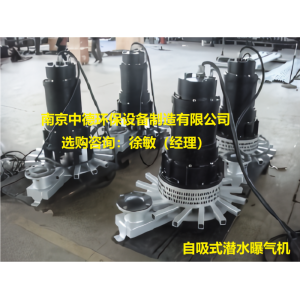 離心式潛水曝氣機現場運行須知；潛水