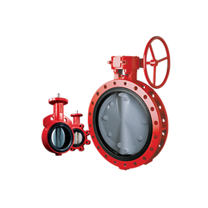 bray博雷襯膠閥座蝶閥