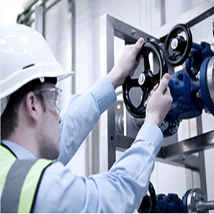 波紋管密封法蘭截止閥