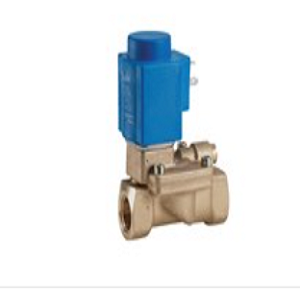 EV224B，伺服操控式 2 位/2 通高壓電