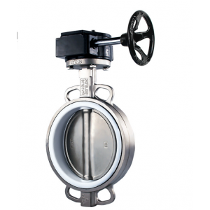 D371F-10P蝸輪四氟不銹鋼蝶閥