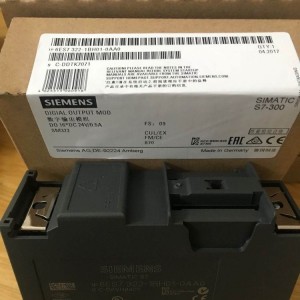 智能PS2 電氣定位器  西門子閥門3