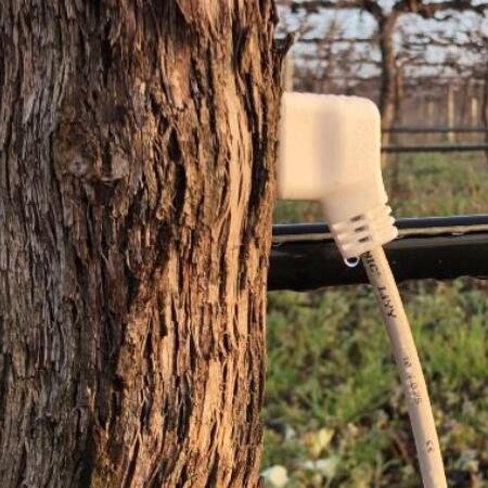 HPV 莖流量傳感器/Sap Flow Sensor-- 河南長(zhǎng)澤生態(tài)科技有限公司