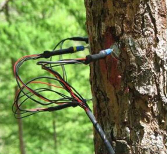 SF-L莖流傳感器-- 河南長(zhǎng)澤生態(tài)科技有限公司