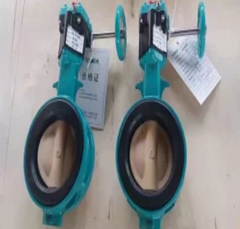 TOMOE閥門-- 日本TOMOE閥門（中國）有限公司