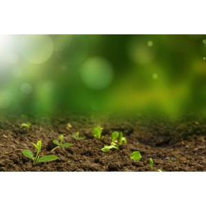 土壤檢測(cè)服務(wù)