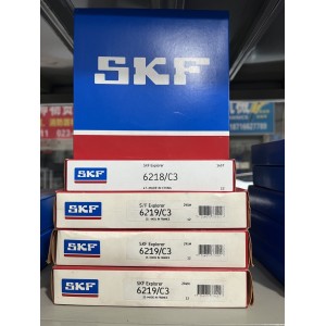 SKF進口軸承6324/C3 NU324ECM/C3