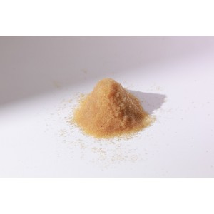 吸金GS300強堿性樹脂原裝進口杜蒽