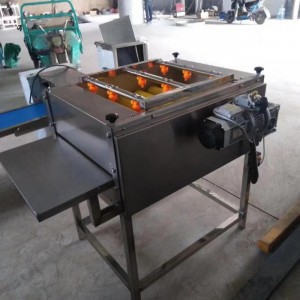 全自動糯米粽葉清洗機設備 蘆葦葉洗