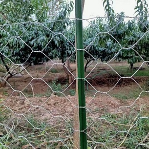 光伏圍欄.光伏區(qū)圍網(wǎng).光熱電站圍欄-- 安平縣金淦絲網(wǎng)制造有限公司