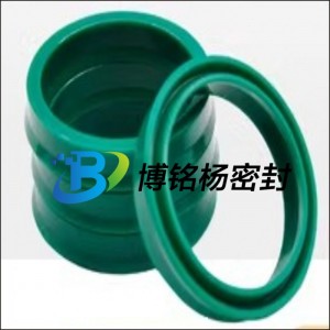 耐腐蝕PFA內(nèi)包硅膠氟膠VITON密封圈PT