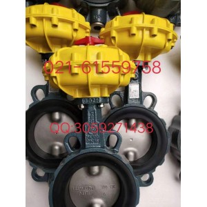 德國依博羅EBRO氣動扇形蝶閥價格優惠